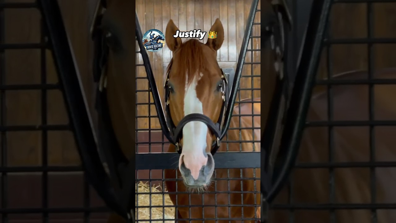 The 144th Kentucky Derby winner JUSTIFY, The only unbeaten Triple Crown winner, ever! 👑