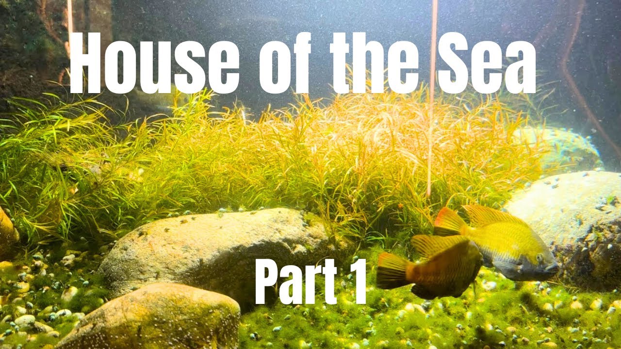 Haus des Meeres | a very special Aquarium in Vienna