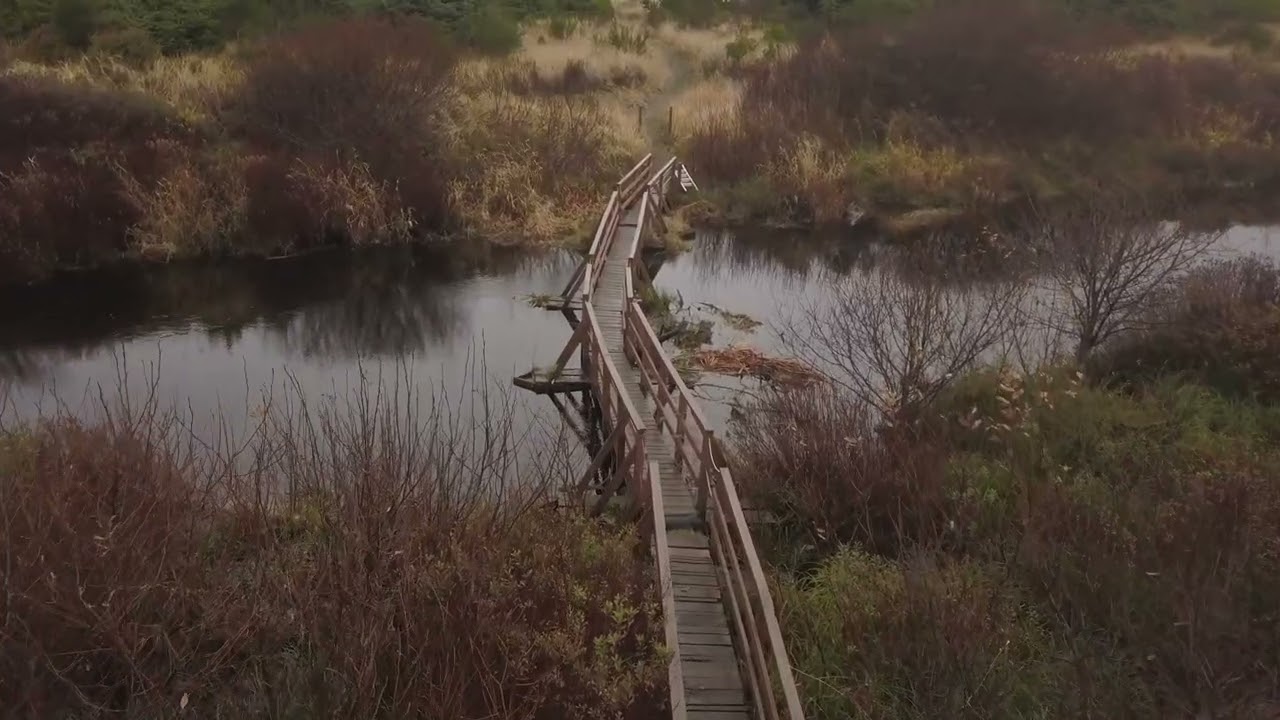 4k DRONE Footage of COPALIS BEACH Washington