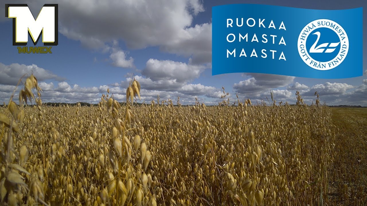 Suurimokauran Puinti 2018