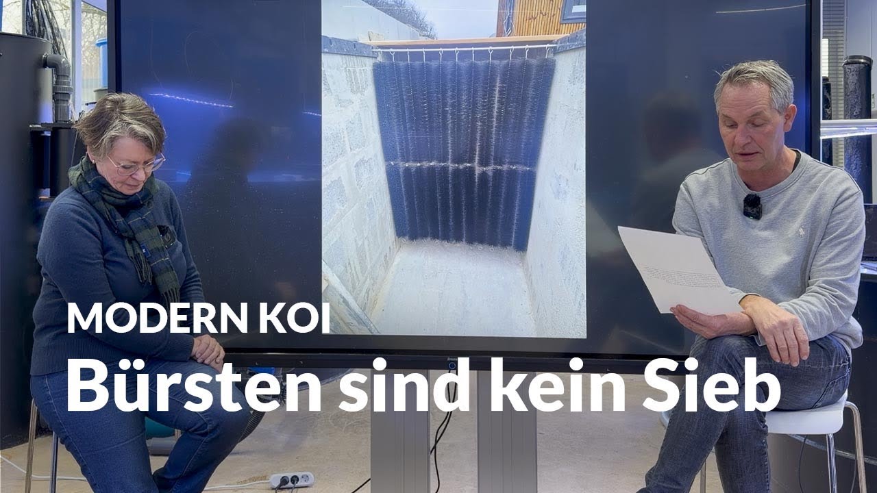 Ab wann drückt die Strömung Bürsten im Filter weg ? | Modern Koi Blog #7942