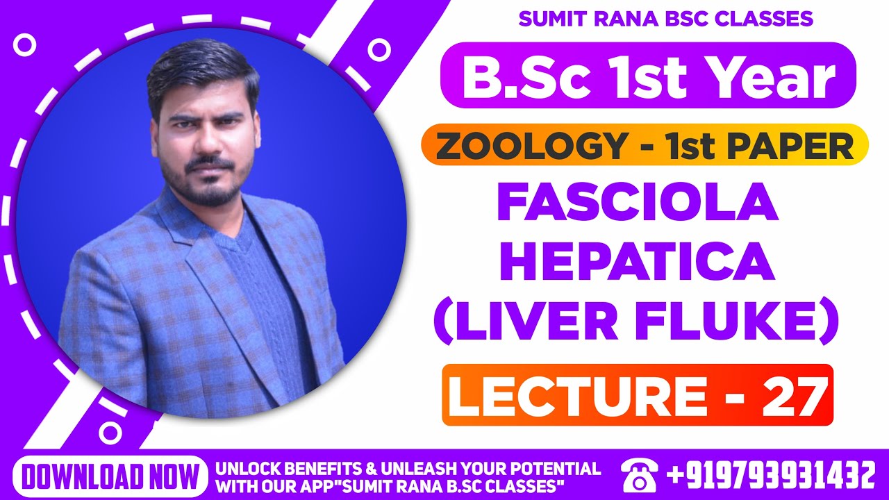 (Lt-27) Fasciola hepatica (Liver Fluke) Part - 1 || Zoology 1st Paper || B.Sc. 1st Year