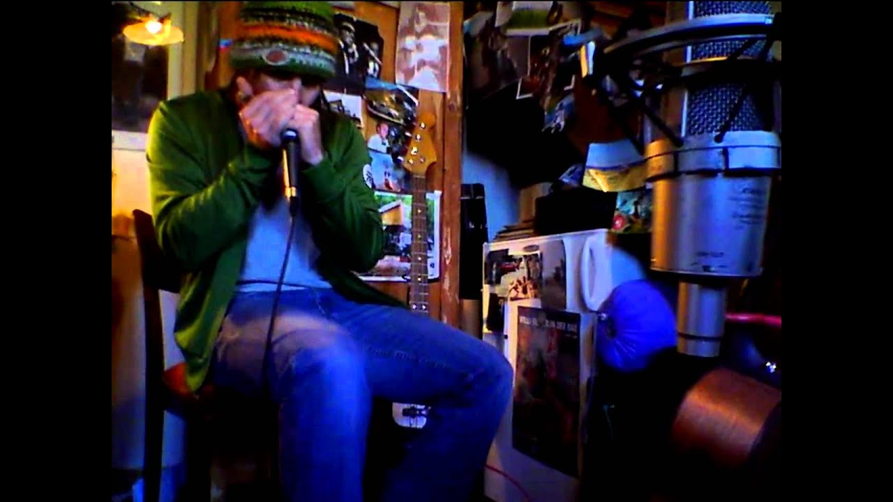 Keller Steff  VOGEL WUID .mp4