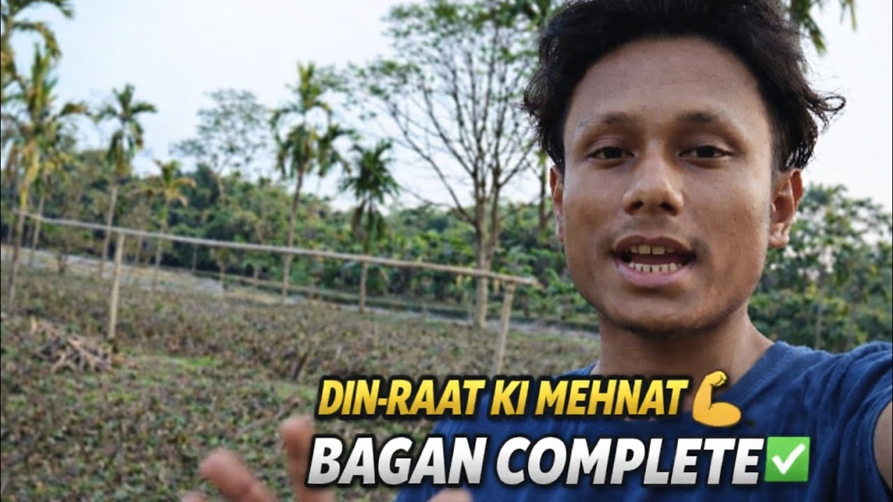 Din-Raat Ki Mehnat, Aaj Chai Patti Bagan Complete ✅