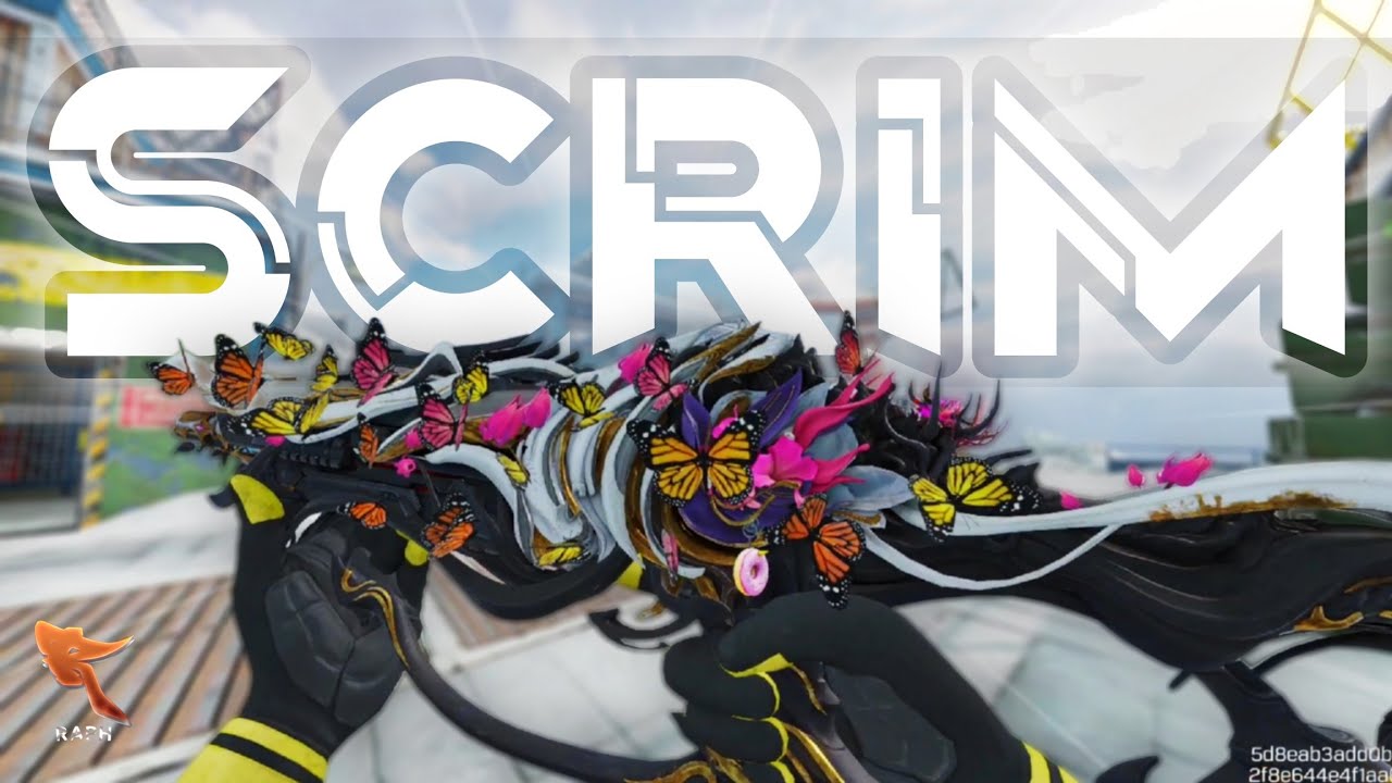 VMP x KRM-262 DESTRUCTION in CODM... (PRO Scrims)