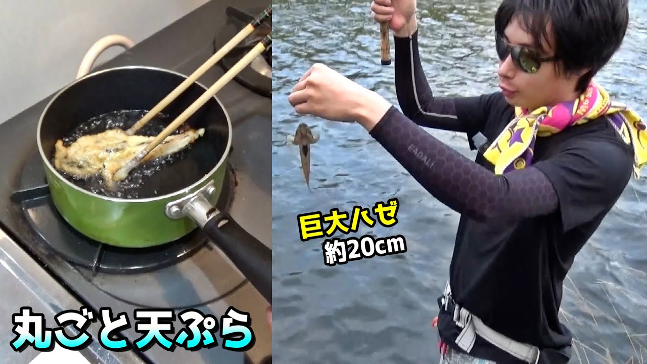 巨大ハゼを釣って、丸ごと天ぷらで食べてみる