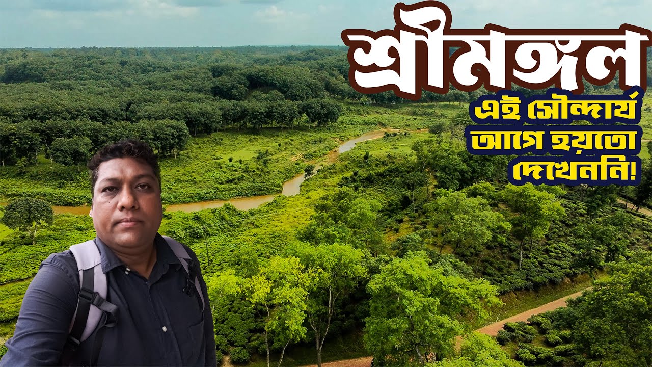 Where Tourists Don't Go in Srimangal | Hidden Beauty of Sreemangal | Srimangal Travel. Sreemangal |