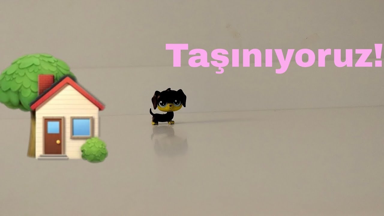 Minişler: Taşınıyoruz! (1. Bölüm) | LPS Puffy
