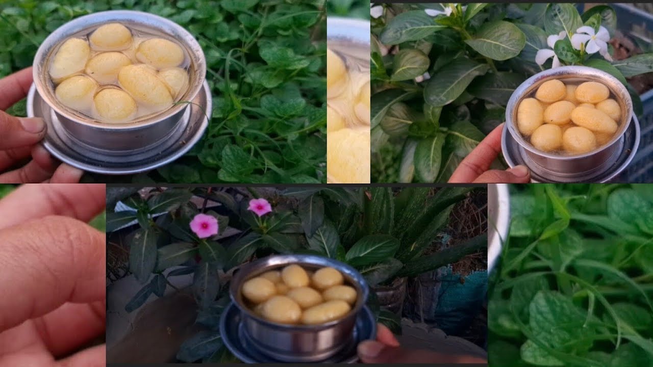 Miniature Rasgulla recipe🍚🍚 || Mini cooking || Mini kitchen || Bengali recipe,,🥗🥗🍆🍅