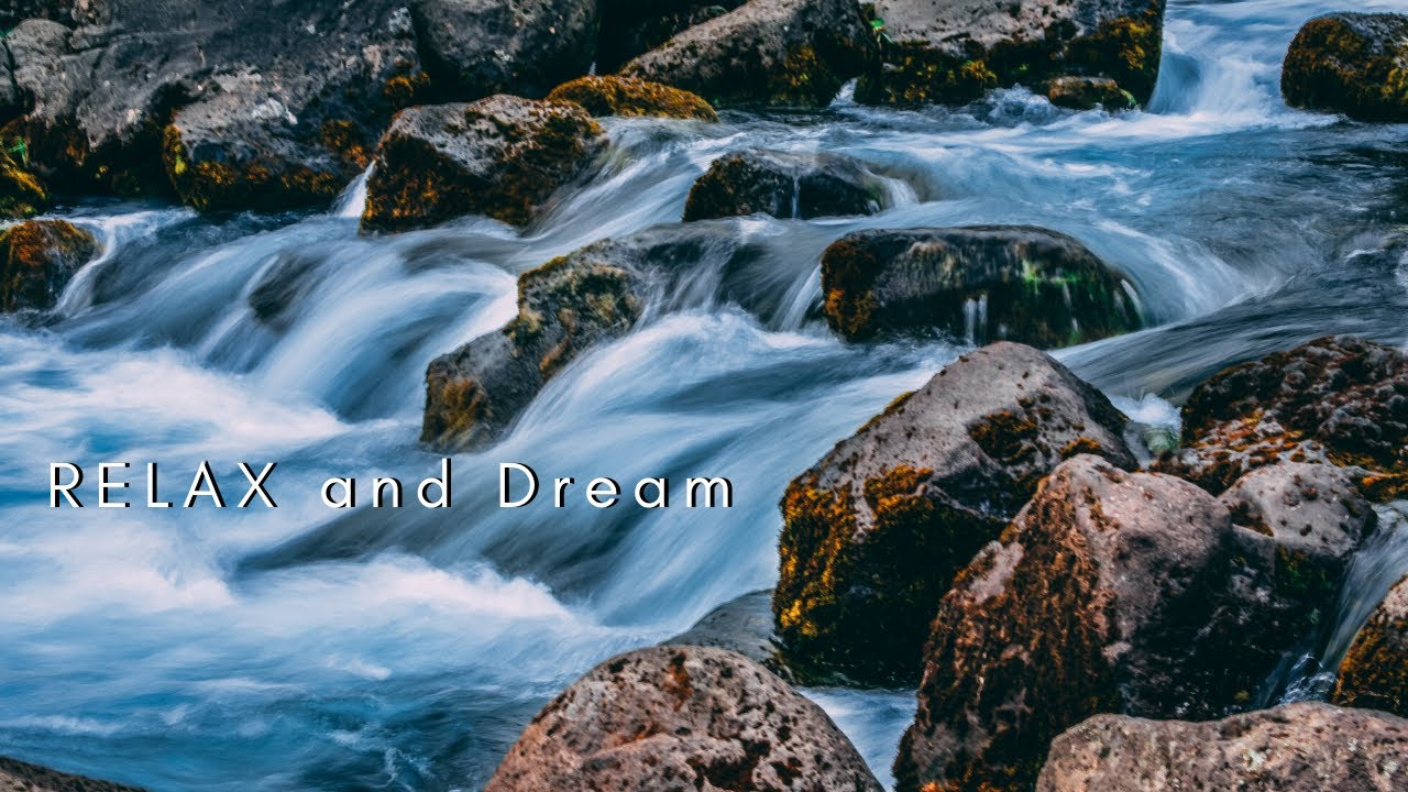 🌊 Sonidos relajantes para DORMIR profundamente | Sonidos del RIO 😴💤