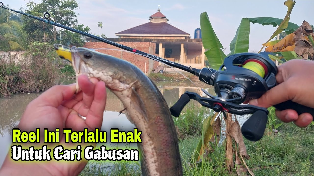 ENTAH APA YANG ADA DIPIKIRAN SEASIR BUAT REEL SEENAK INI || SEASIR SALMINUS