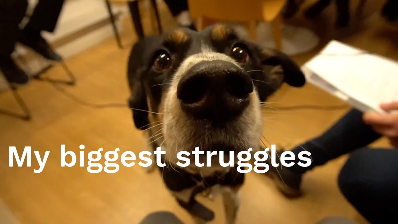 My biggest struggles when I first came to HEC Paris and to France