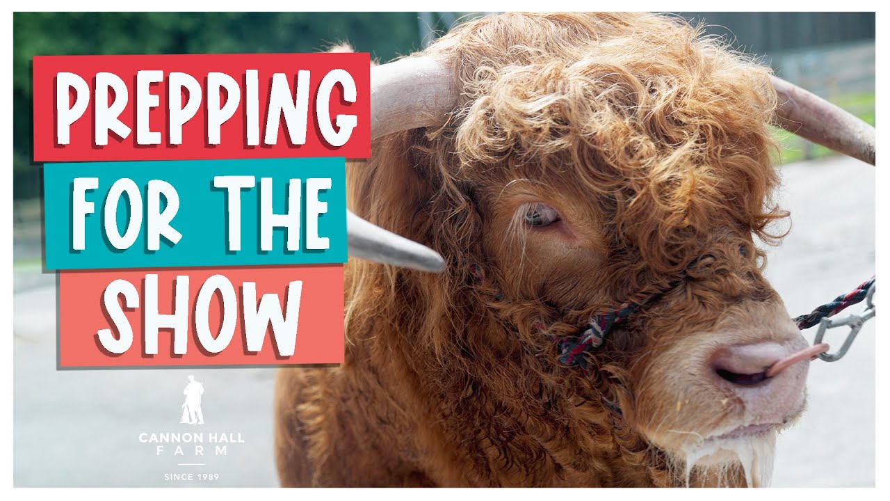 Behind the scenes: Summer on the Farm