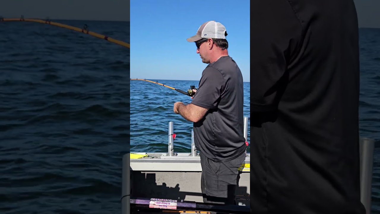 Bottom Bouncer for walleye Lake Erie