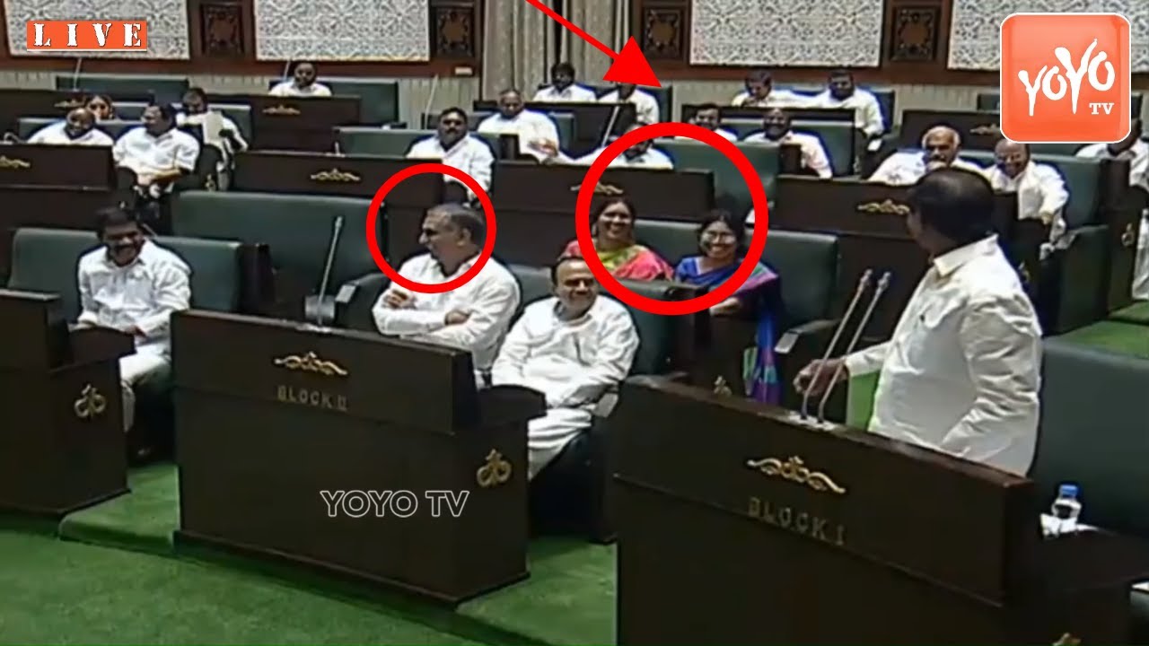 CM KCR Hilarious Comedy😂😆😂 On TRS MLA's In Telangana Assembly | Harish Rao | YOYO TV