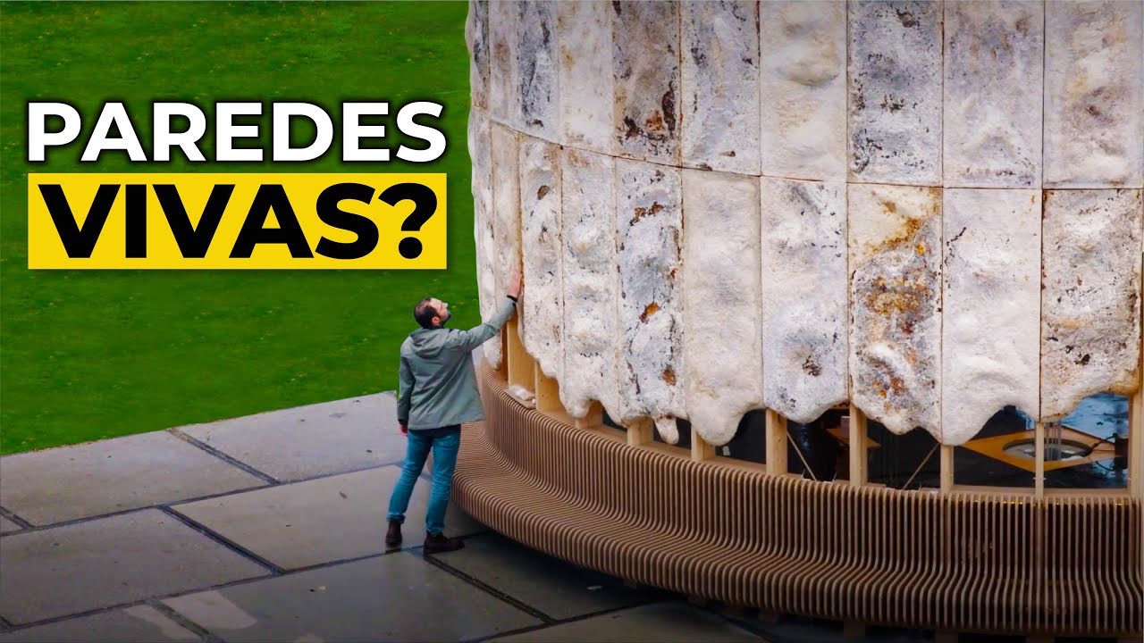 Como os COGUMELOS podem substituir o CONCRETO?