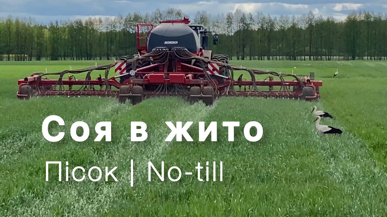 Соя в покривній культурі: результат і виклики на пісках.