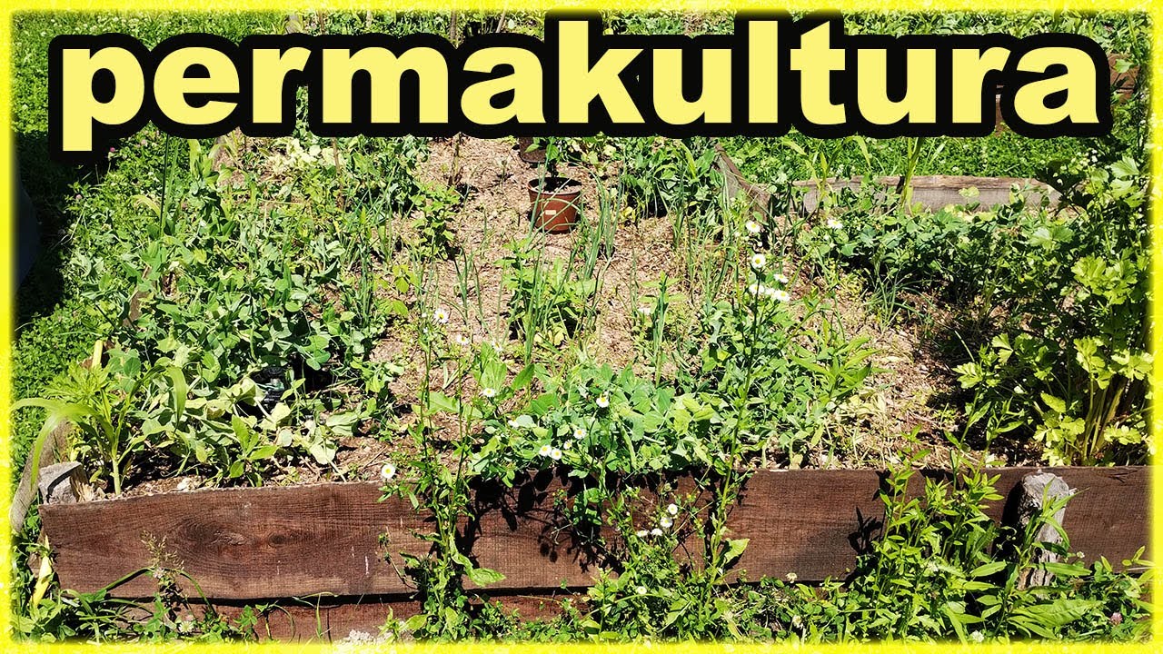 Permakultura: Pogledajte čaroban vrt koji diše u harmoniji s prirodom