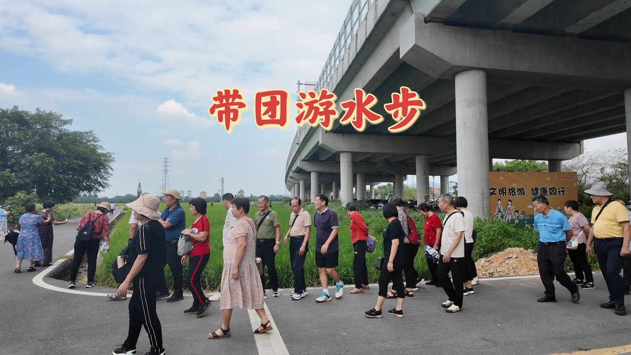 台山百曉：今日分享视频是做半日导游，带领来自马来西亚的乡亲游水步，现在的台山水步有好多休闲的旅游景点，譬如拍摄过让子弹飞的鹅城冈宁圩，大岭乡的草坪里、君兰瓦房、田野咖啡等等！