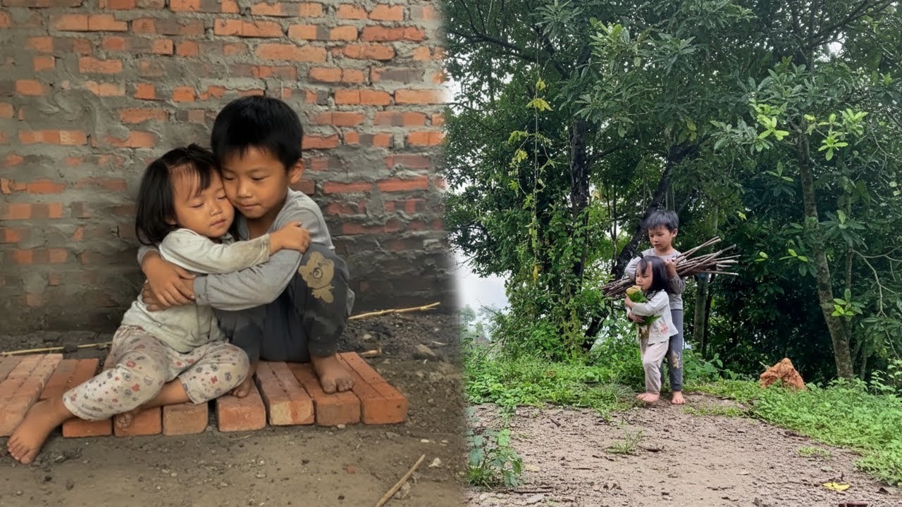 The Two Orphaned Children Survived by Going into the Forest to Gather Bamboo Shoots to Cook and Eat.
