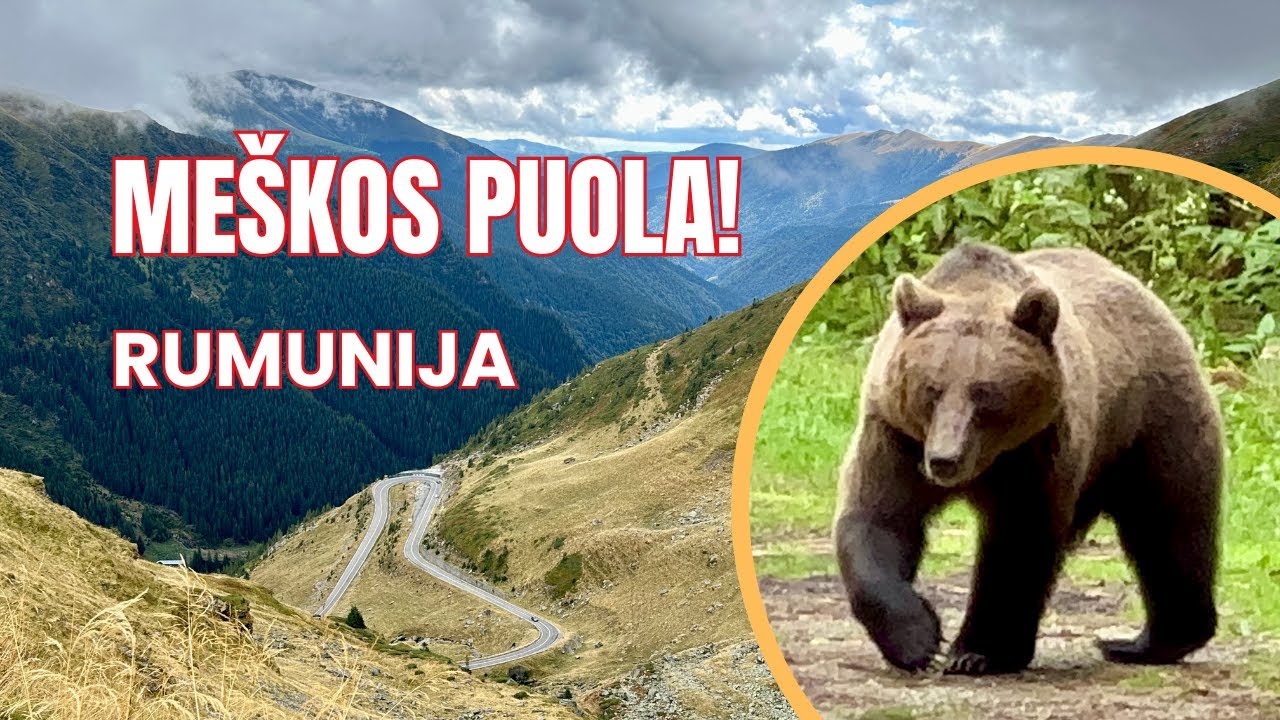 Moto nuotykis Rumunijoje 🇷🇴 Transfagarasan + Transalpina (4K)