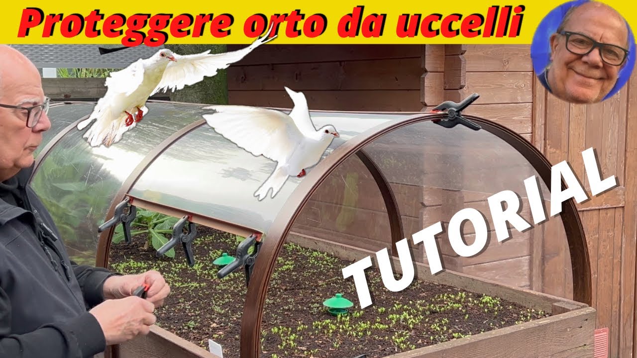 Serra TUTTO L' ANNO contro i temporali e la grandine orto rialzato #faidatecreativo #tutorial