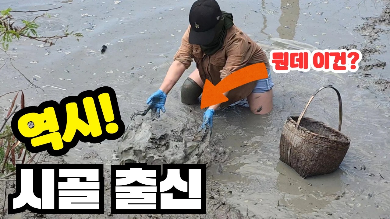 매년 태국시골에선 물을 싹 다 빼는 이유가...