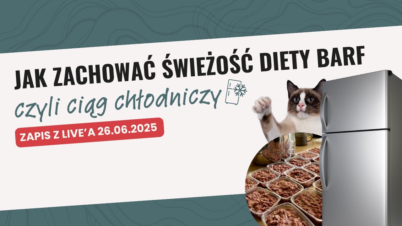 Jak zachować świeżość diety BARF? | CIĄG CHŁODNICZY