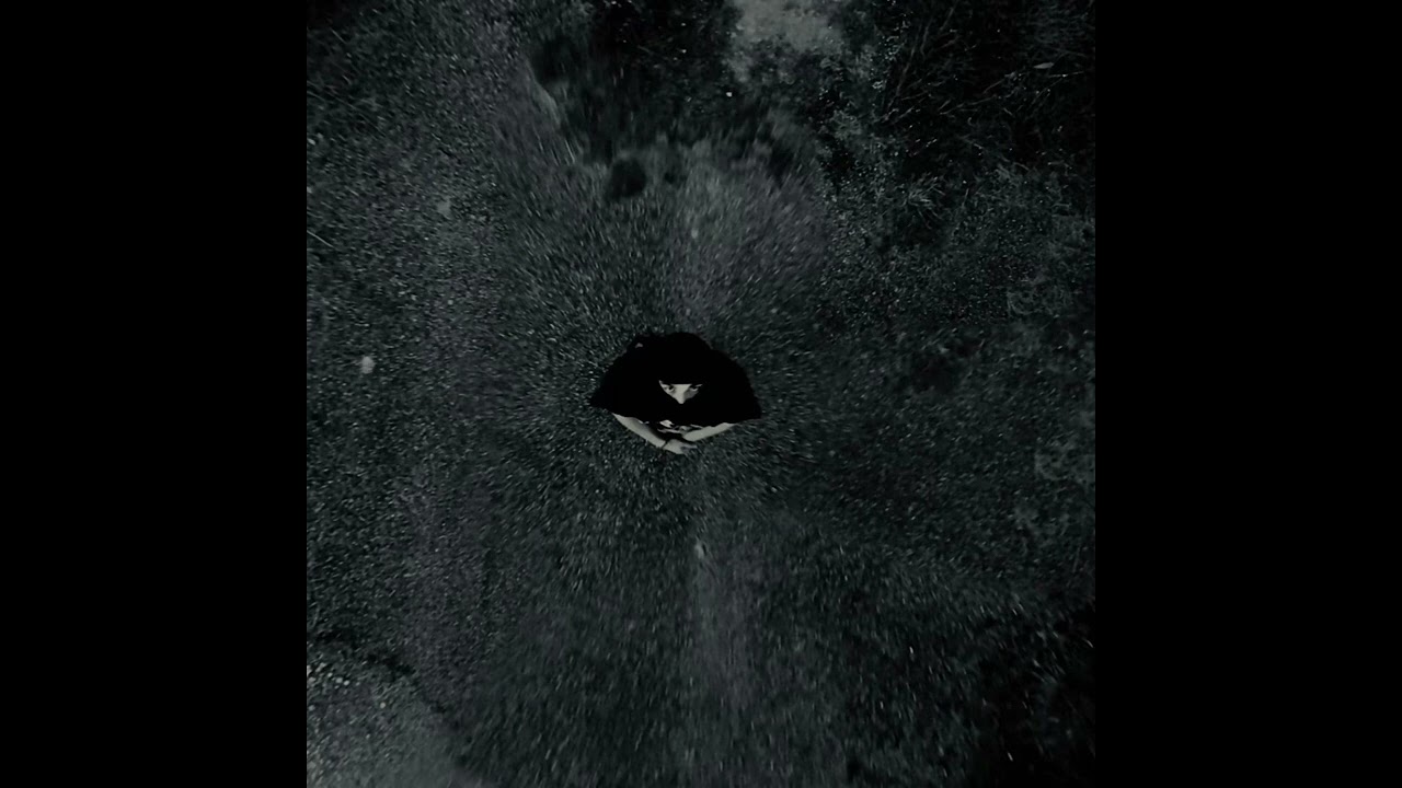Livan - Recognise & test