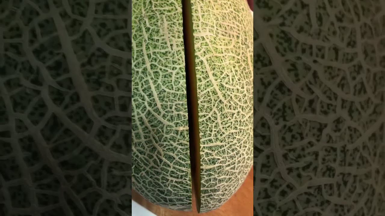 💥#yummy MELON 🍈 🍈 JUICY #satisfying #shorts #trendingshorts