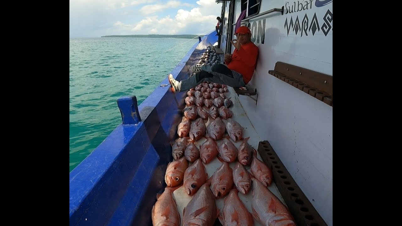 Trip Mancing Impian (KM. Samson)