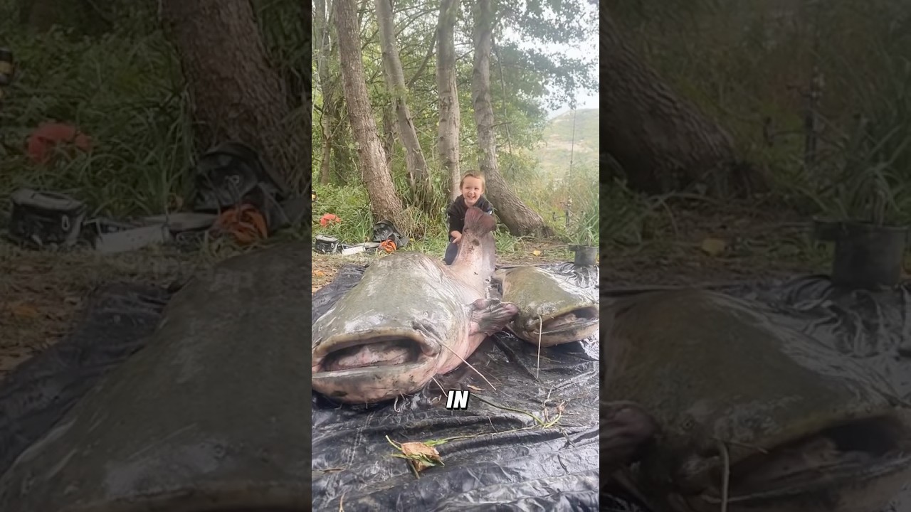 “Giant catfish.”