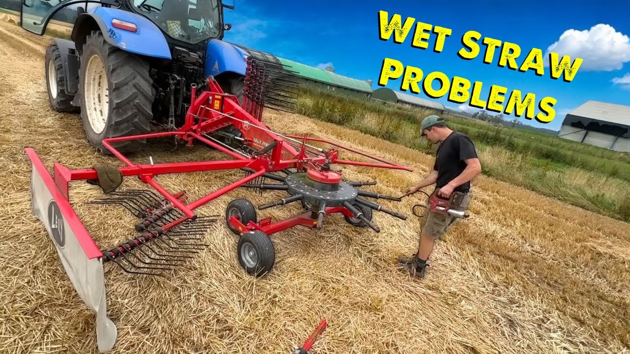 Straw Problems | Harvest | A Plough | Calf poorly