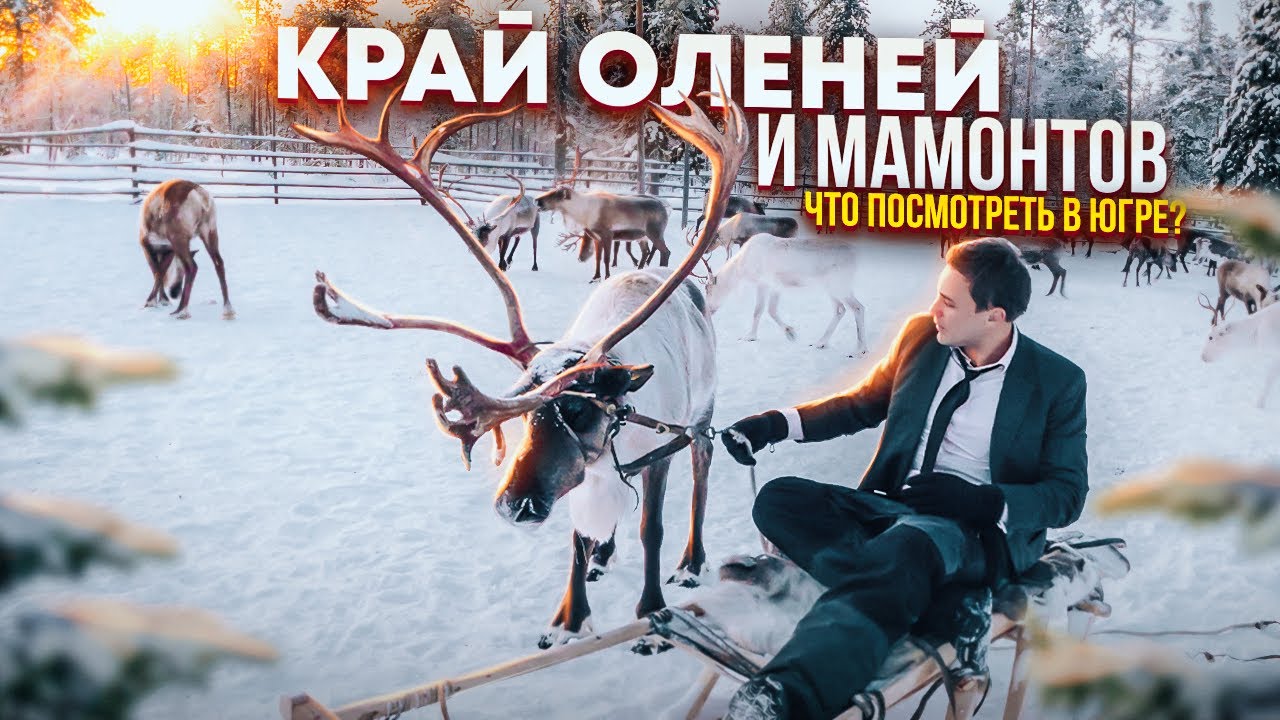 Югра без цензуры: трудности и тайны жизни оленеводов Ханты-Мансийска. Край древних мамонтов