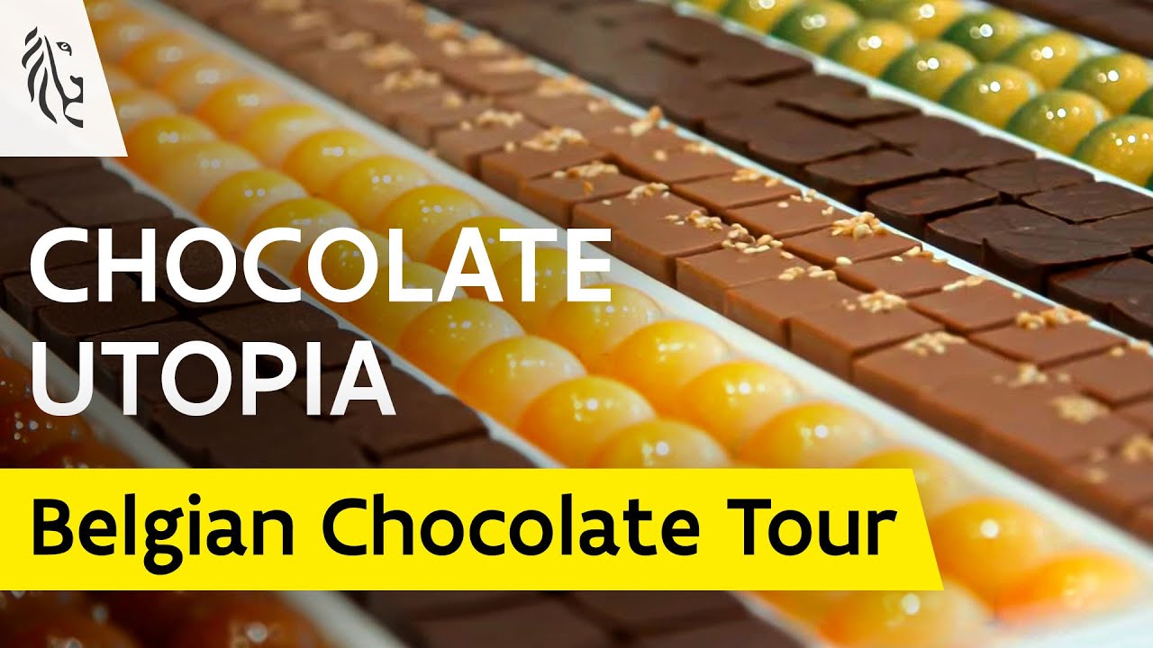From Bean to The Finest Chocolate in The World | Belgian Chocolate Tour