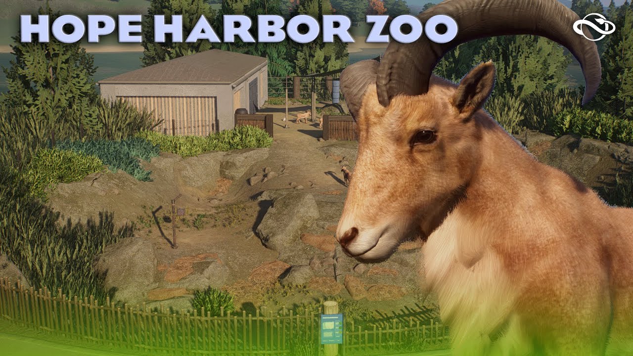 🐑 Aoudads are Back! | Barbary Sheep Speedbuild! | Hope Harbor Zoo