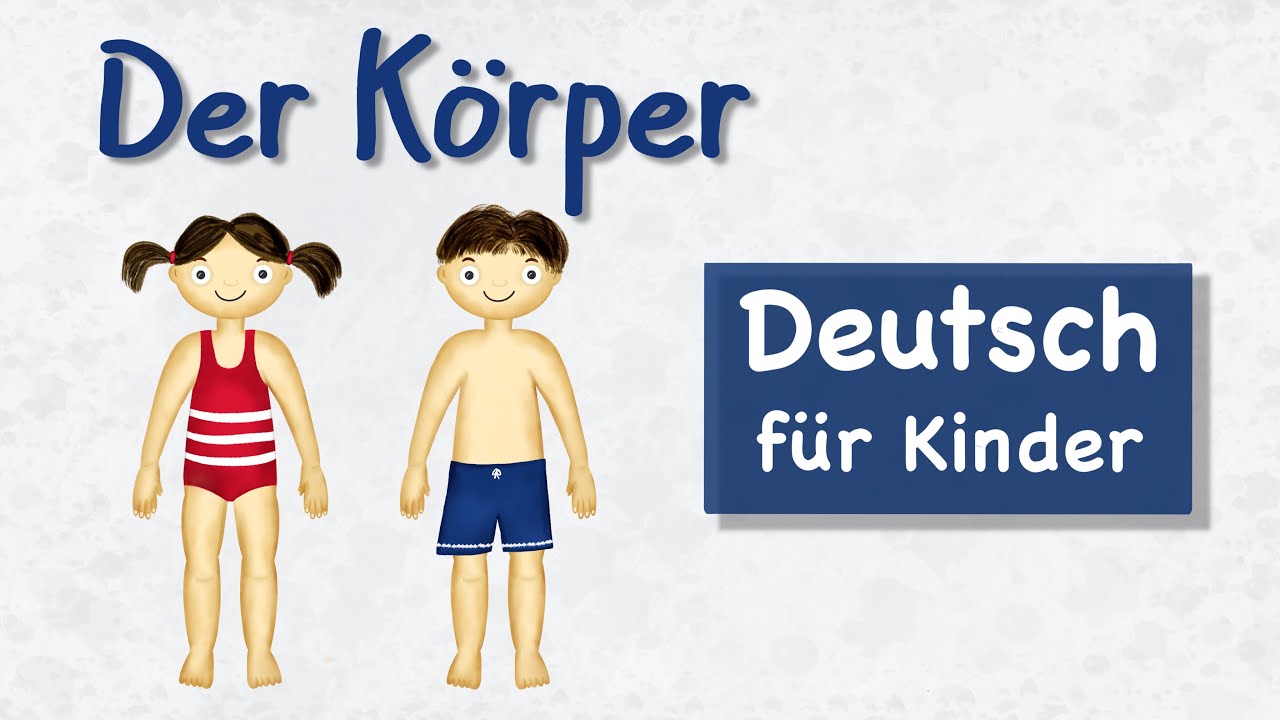 Der K&ouml;rper