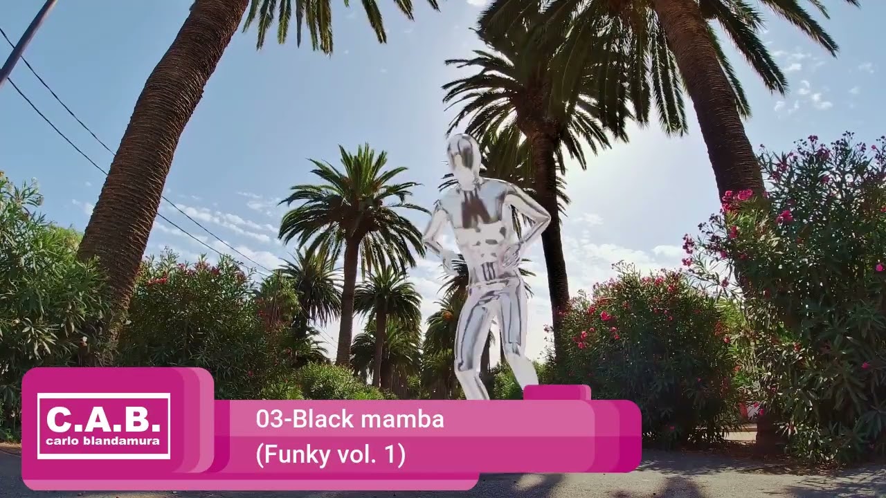 03-Black mamba (Funky vol. 1)
