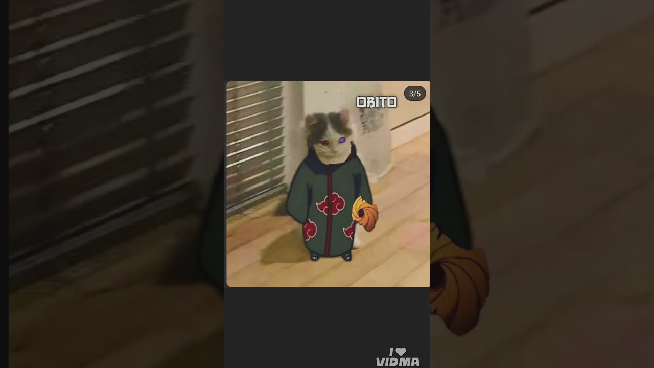 Naruto in cat universe l Part-1 l