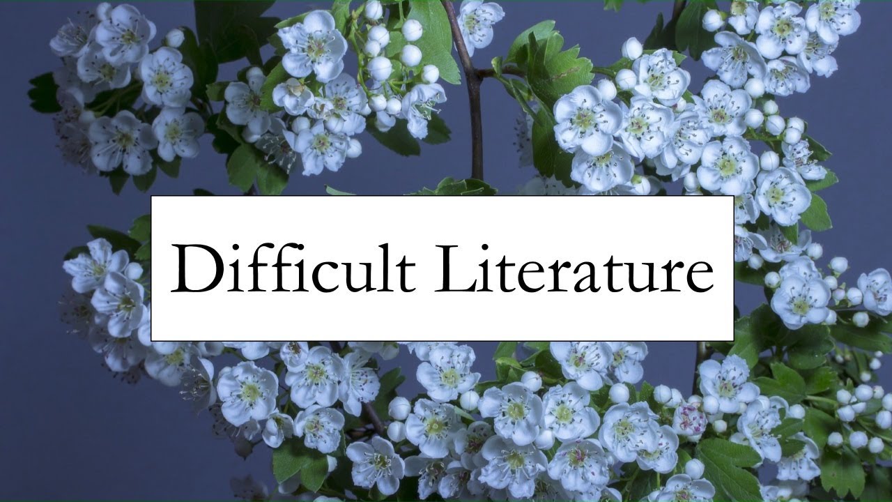 On Difficult Literature