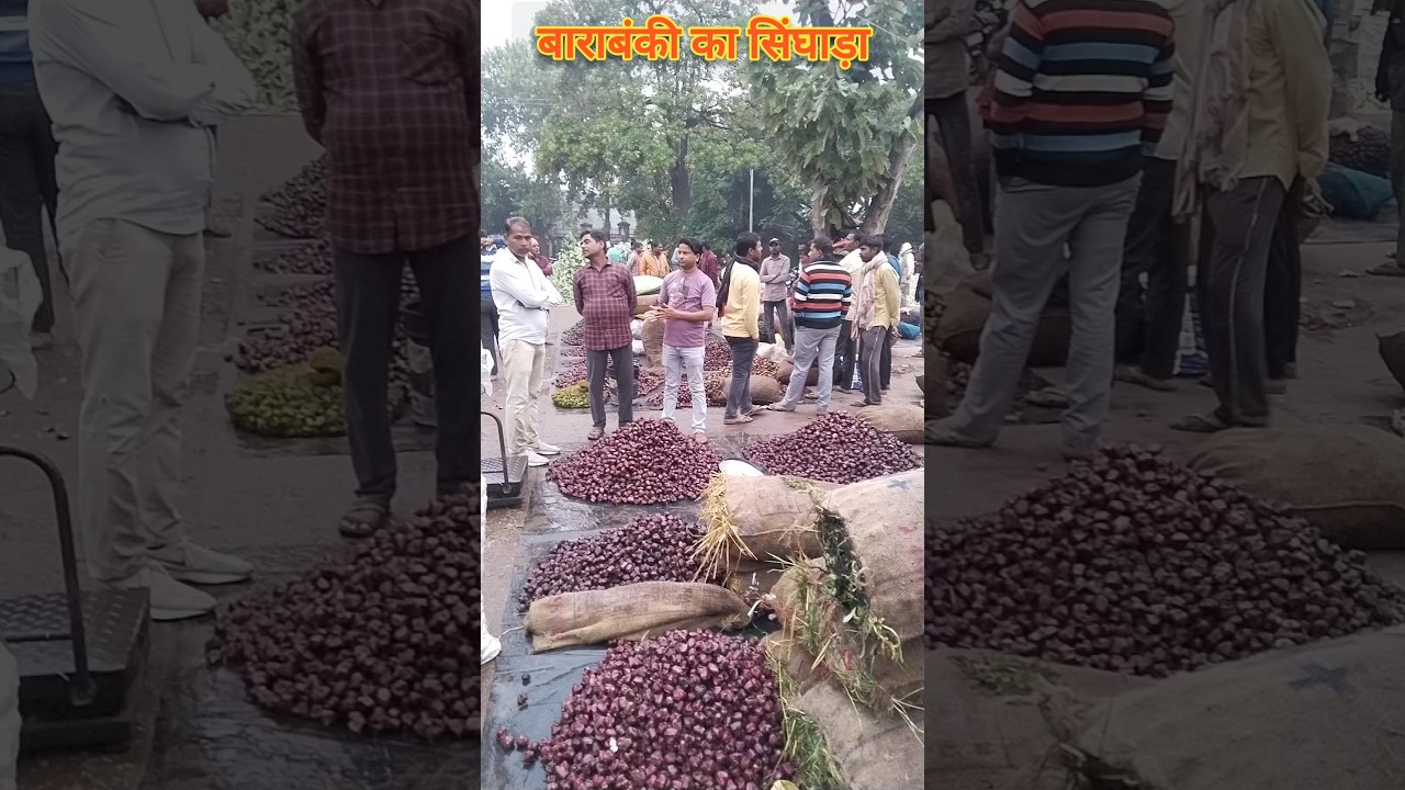 Barabanki ka singhada 🥒 mandi news 🗞️ singhada 🍆 