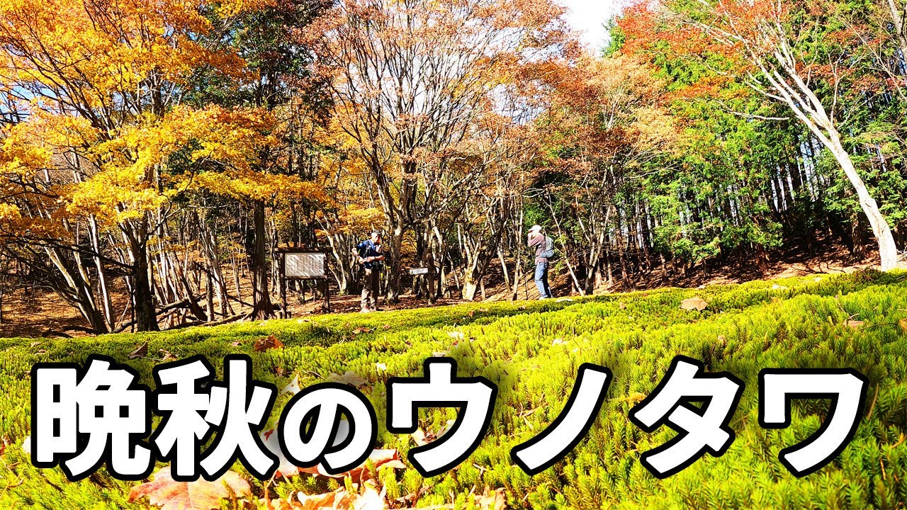 連れてって・第6回 | 晩秋のウノタワ | 視聴者さんと幻想ハイク