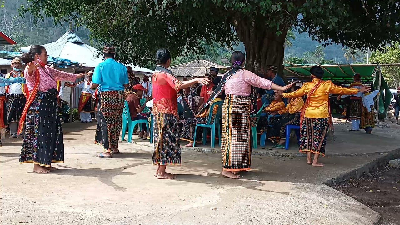 Pestah Kenduri terbesar Manggarai: Tarian Raga Tambu Watu di Mbata Kota Komba Utara