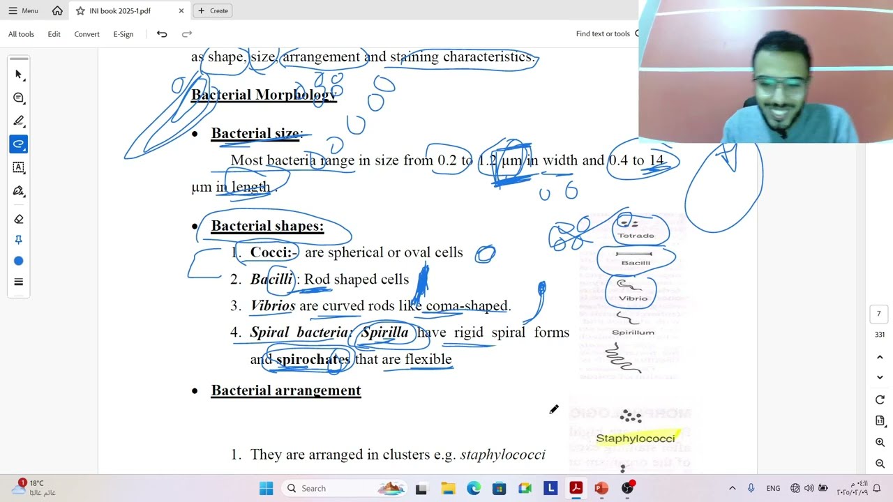 Bacterial structure part1