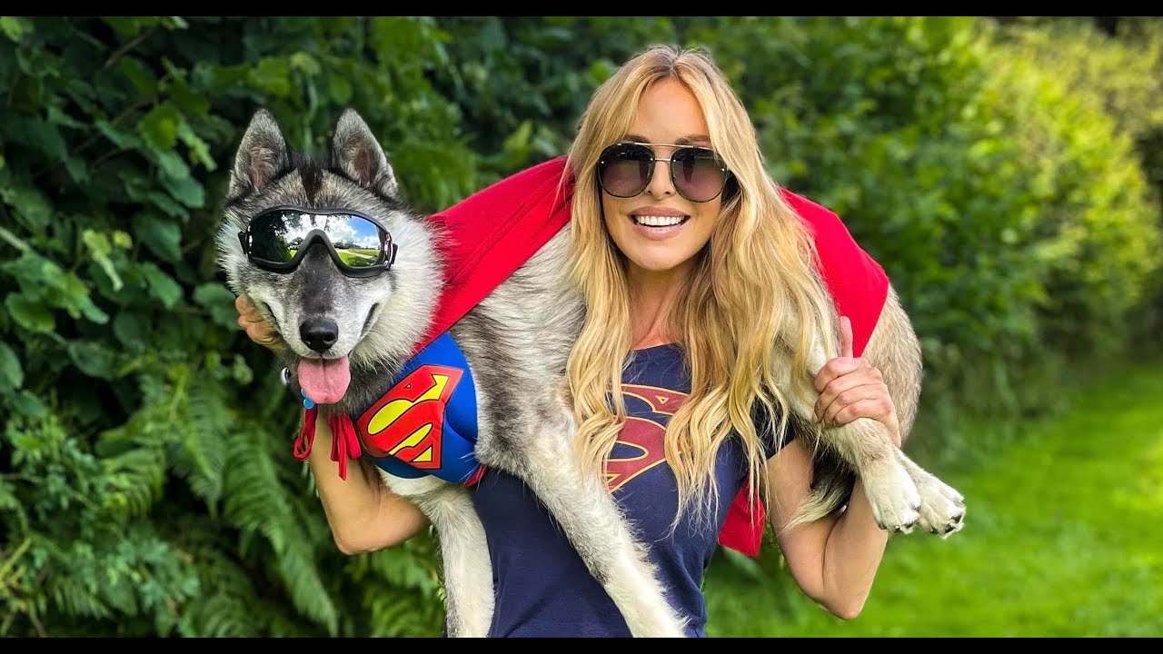 The UNTRAINABLE Siberian Husky - Can you train one?
