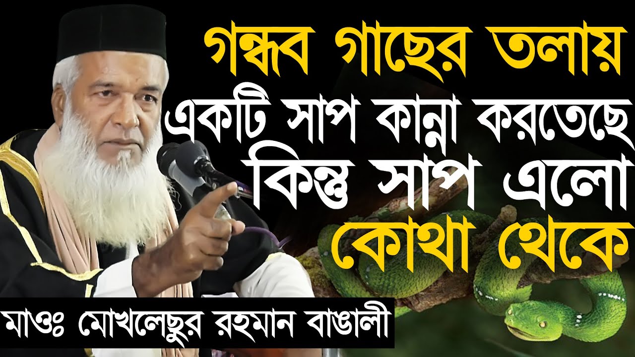গন্ধব গাছের তলায় কেন সাপ কান্না করলেন সম্পূর্ণ নতুন ওয়াজ - মাওঃ মোখলেছুর রহমান বাঙালী - JBR MEDIA