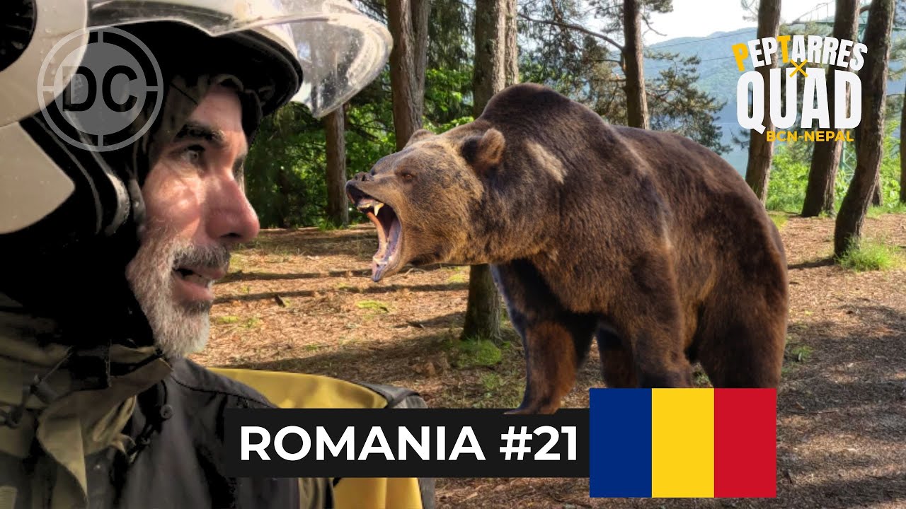 BEAR ATTACK in Romania 😱 | Day 21:  Romania II