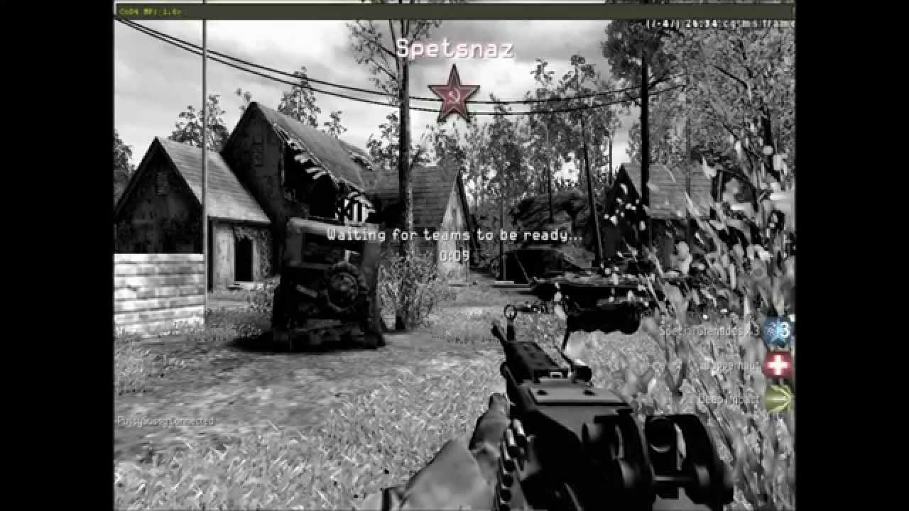 Call of Duty 4 on nVidia GeForce 9600m GT
