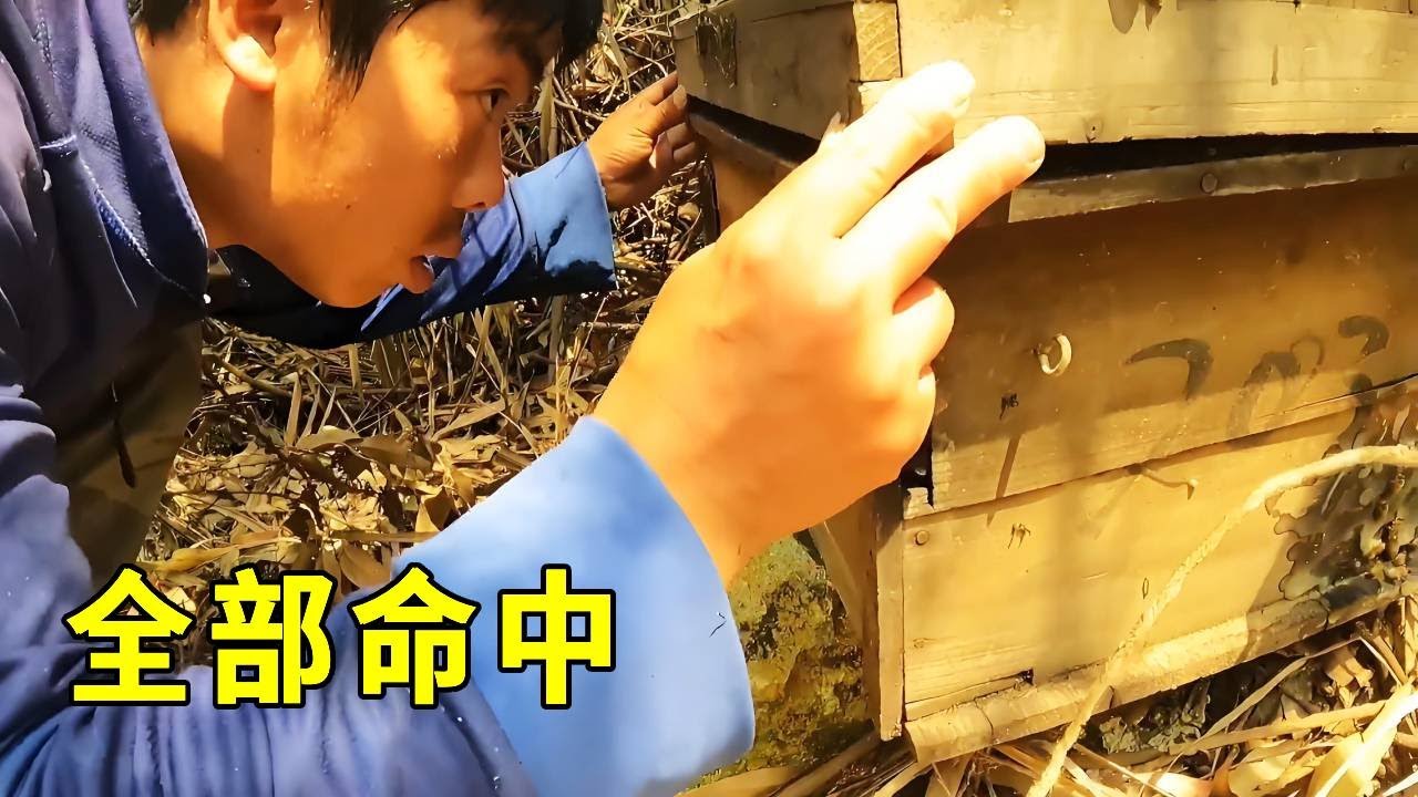 一個月前放的箱子，幾乎全部命中，最強的都要有十多斤了！【莆農阿敏】