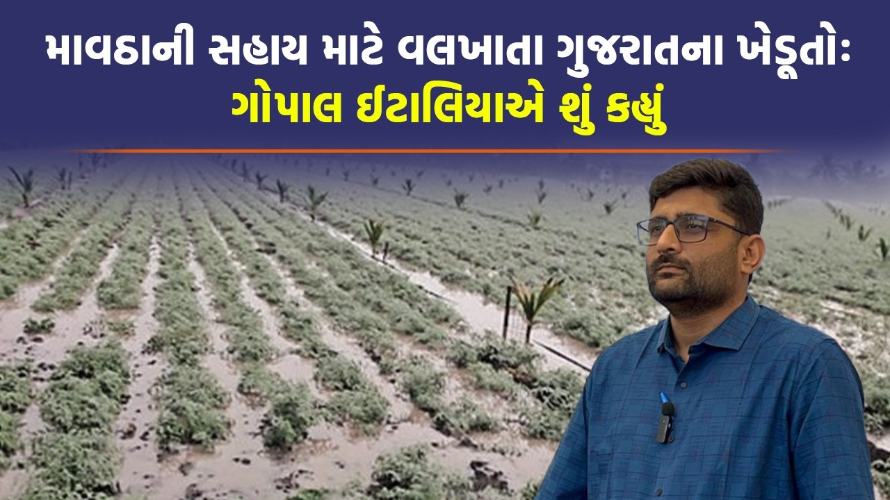 Gopal Italia એ Visavadarના ખેડૂતો માટે ગૃહમાં ઉઠાવ્યા આકરા સવાલો | AAP Gujarat | Gujarat Vidhansabha